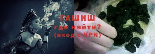 стаф Алзамай