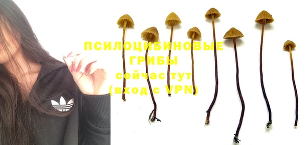 соль ск Алексин