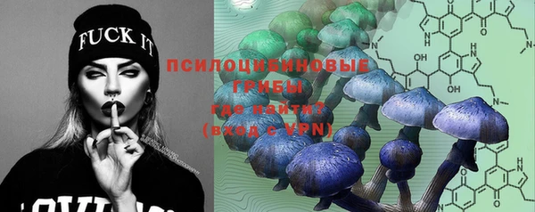 марки nbome Алексеевка